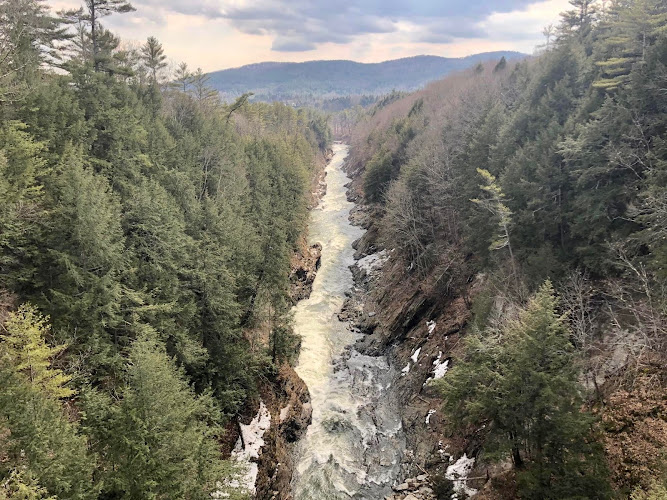 River City Wellness & Weight Loss, LLC clinic