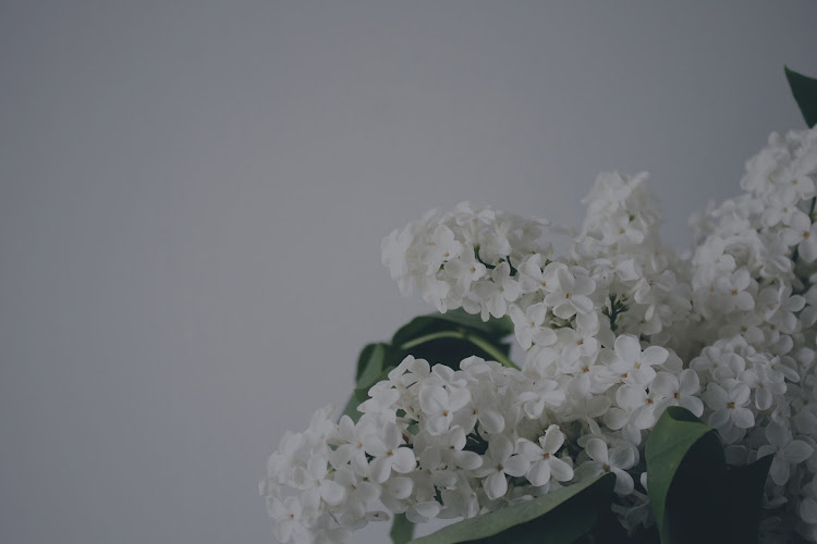 The Hormone Center clinic