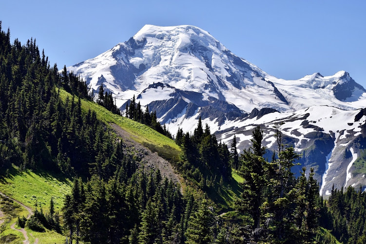 True Potential MD clinic