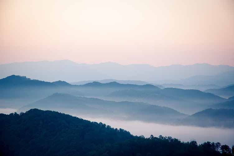 Wellness Nashville clinic